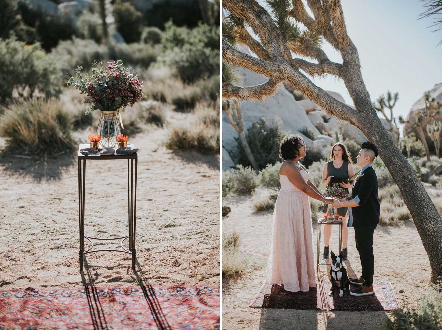 TheColagrossi_Joshua_Tree_Elopement-30 - The Kismet Collective